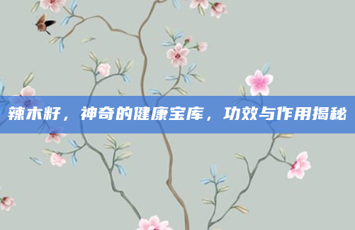 辣木籽，神奇的健康宝库，功效与作用揭秘