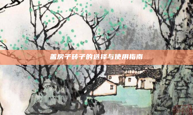 盖房子砖子的选择与使用指南