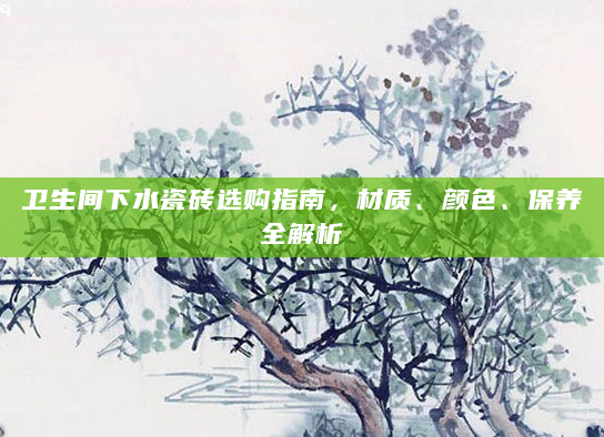 卫生间下水瓷砖选购指南，材质、颜色、保养全解析