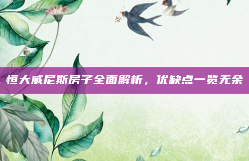恒大威尼斯房子全面解析，优缺点一览无余