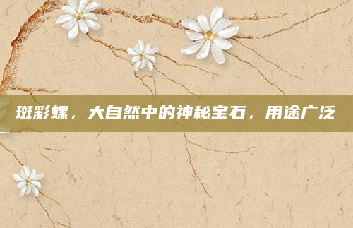 斑彩螺，大自然中的神秘宝石，用途广泛