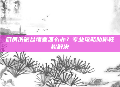 厨房洗碗盆堵塞怎么办？专业攻略助你轻松解决