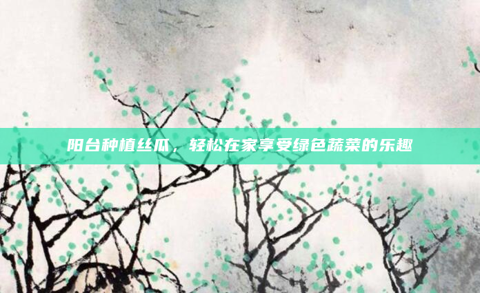 阳台种植丝瓜，轻松在家享受绿色蔬菜的乐趣