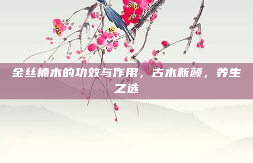 金丝楠木的功效与作用，古木新颜，养生之选