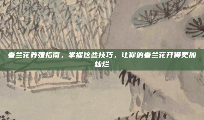 春兰花养殖指南，掌握这些技巧，让你的春兰花开得更加灿烂