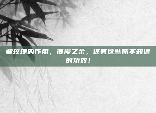 紫玫瑰的作用，浪漫之余，还有这些你不知道的功效！