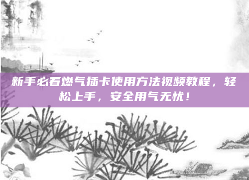 新手必看燃气插卡使用方法视频教程，轻松上手，安全用气无忧！