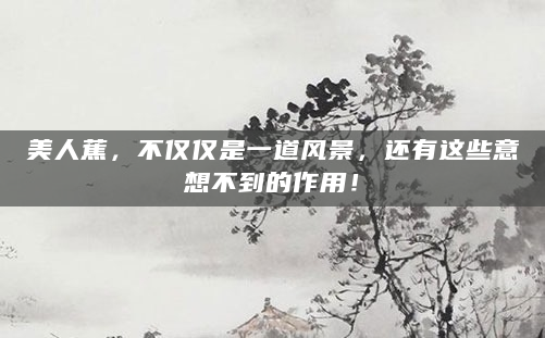 美人蕉，不仅仅是一道风景，还有这些意想不到的作用！