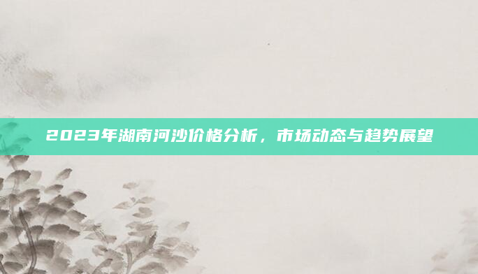 2023年湖南河沙价格分析，市场动态与趋势展望