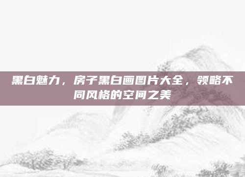 黑白魅力，房子黑白画图片大全，领略不同风格的空间之美