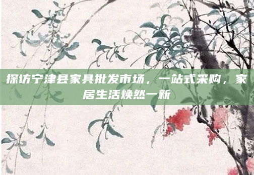 探访宁津县家具批发市场，一站式采购，家居生活焕然一新