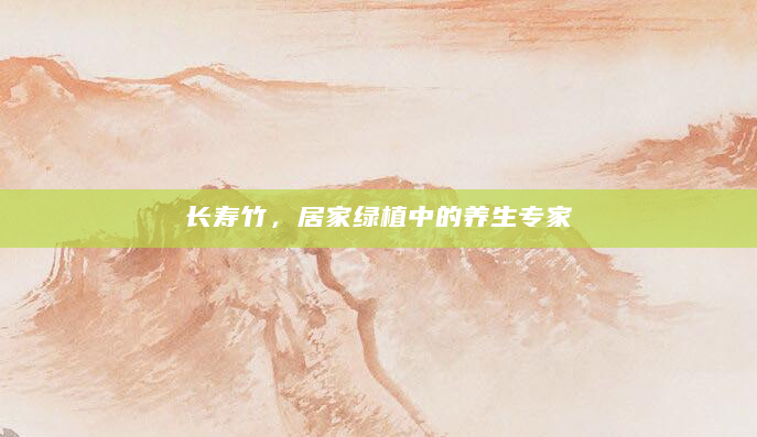 长寿竹，居家绿植中的养生专家