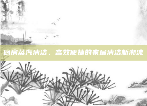 厨房蒸汽清洁，高效便捷的家居清洁新潮流