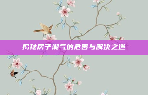 揭秘房子潮气的危害与解决之道