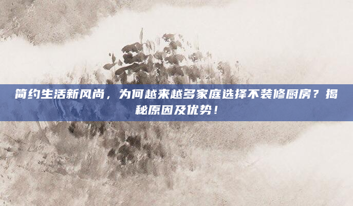 简约生活新风尚，为何越来越多家庭选择不装修厨房？揭秘原因及优势！