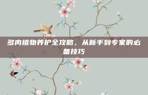 多肉植物养护全攻略，从新手到专家的必备技巧