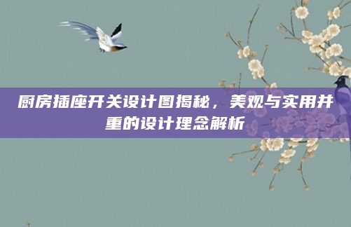 厨房插座开关设计图揭秘，美观与实用并重的设计理念解析