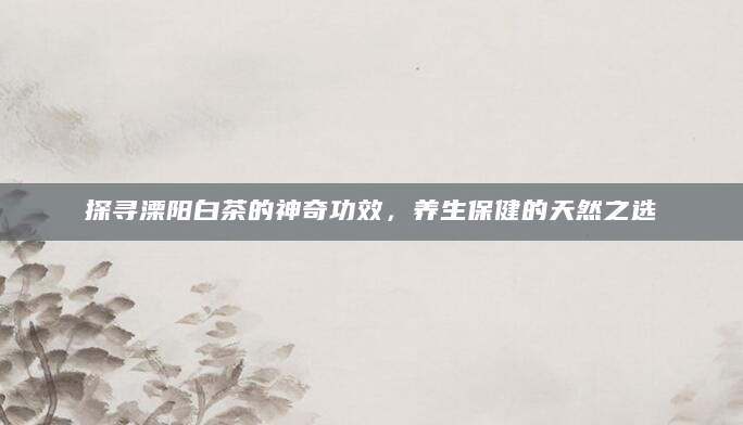 探寻溧阳白茶的神奇功效，养生保健的天然之选
