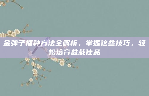 金弹子播种方法全解析，掌握这些技巧，轻松培育盆栽佳品