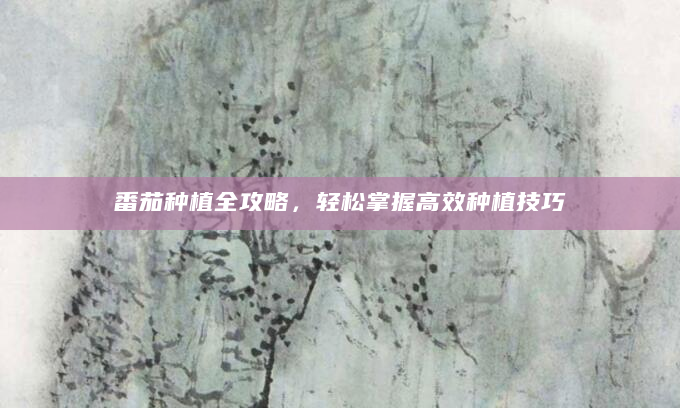 番茄种植全攻略，轻松掌握高效种植技巧