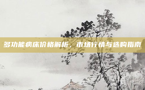 多功能病床价格解析，市场行情与选购指南