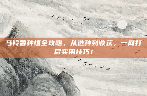 马铃薯种植全攻略，从选种到收获，一网打尽实用技巧！