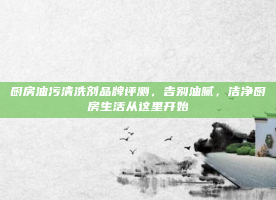 厨房油污清洗剂品牌评测，告别油腻，洁净厨房生活从这里开始
