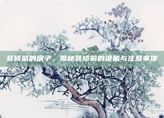 装修前的房子，揭秘装修前的准备与注意事项