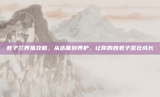 君子兰养殖攻略，从选苗到养护，让你的四君子茁壮成长
