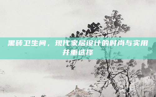 黑砖卫生间，现代家居设计的时尚与实用并重选择