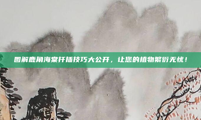 图解鹿角海棠扦插技巧大公开，让您的植物繁衍无忧！