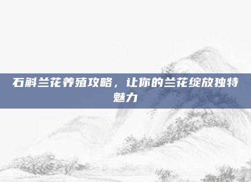 石斛兰花养殖攻略，让你的兰花绽放独特魅力