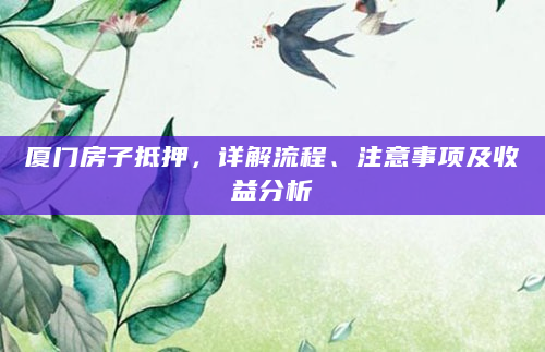厦门房子抵押，详解流程、注意事项及收益分析