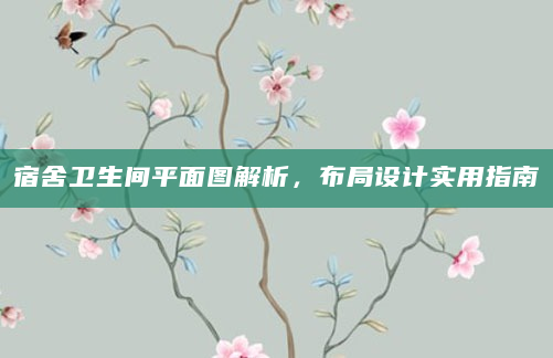 宿舍卫生间平面图解析，布局设计实用指南