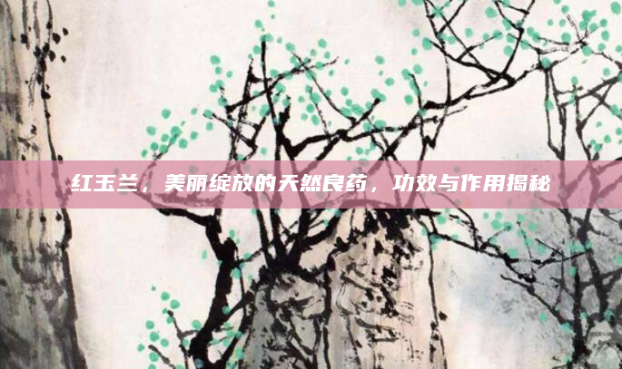 红玉兰，美丽绽放的天然良药，功效与作用揭秘