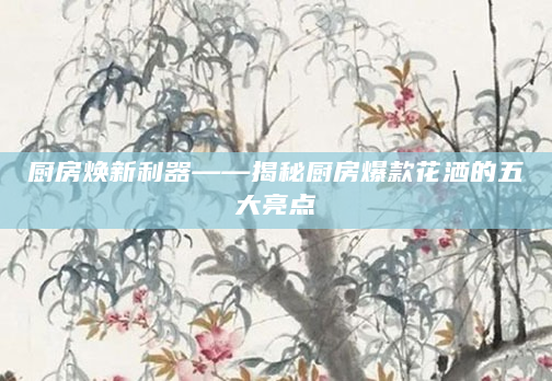 厨房焕新利器——揭秘厨房爆款花洒的五大亮点