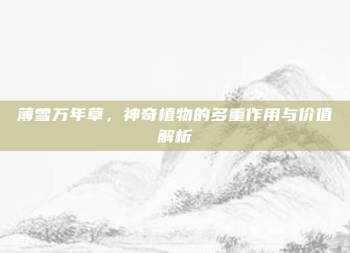 薄雪万年草，神奇植物的多重作用与价值解析