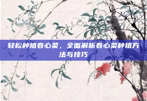 轻松种植卷心菜，全面解析卷心菜种植方法与技巧