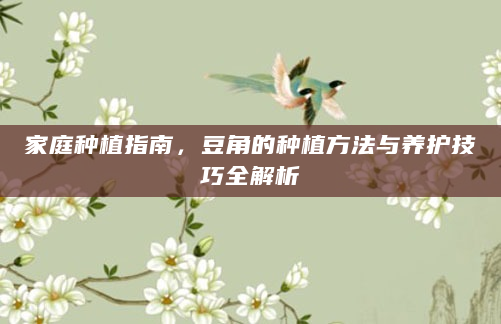 家庭种植指南，豆角的种植方法与养护技巧全解析