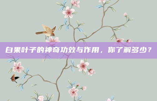 白果叶子的神奇功效与作用，你了解多少？