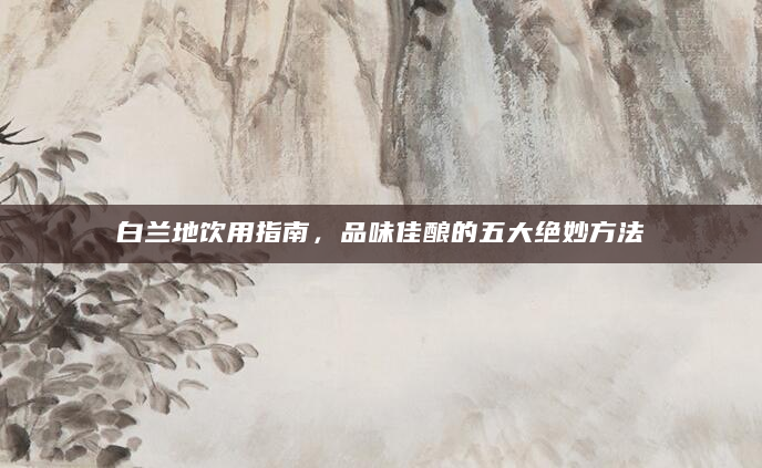 白兰地饮用指南，品味佳酿的五大绝妙方法