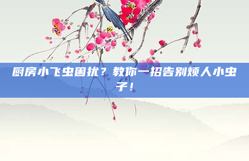 厨房小飞虫困扰？教你一招告别烦人小虫子！