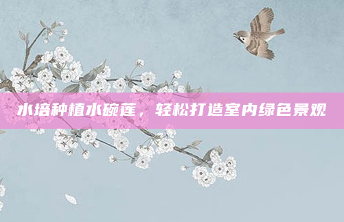 水培种植水碗莲，轻松打造室内绿色景观