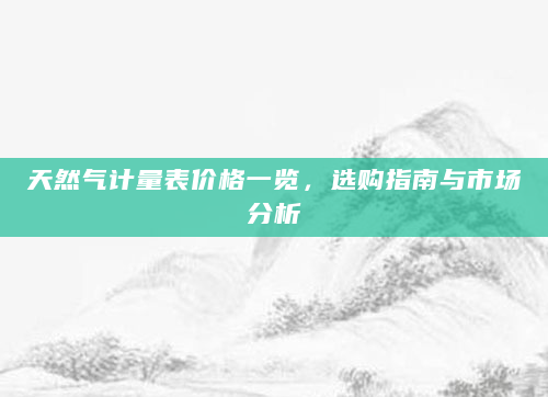 天然气计量表价格一览，选购指南与市场分析