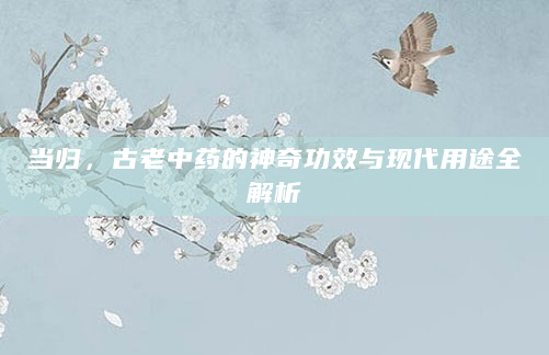 当归，古老中药的神奇功效与现代用途全解析