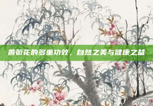 蔷薇花的多重功效，自然之美与健康之益