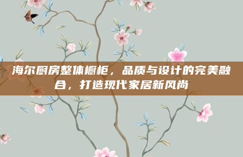海尔厨房整体橱柜，品质与设计的完美融合，打造现代家居新风尚
