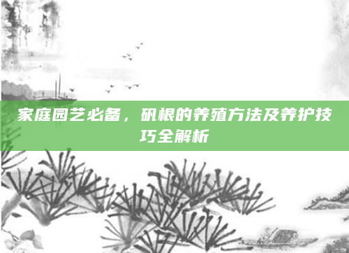 家庭园艺必备，矾根的养殖方法及养护技巧全解析