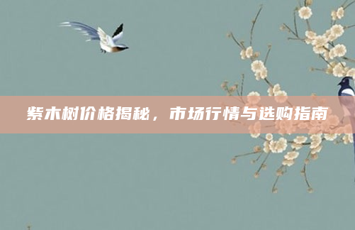 紫木树价格揭秘，市场行情与选购指南