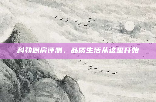 科勒厨房评测，品质生活从这里开始